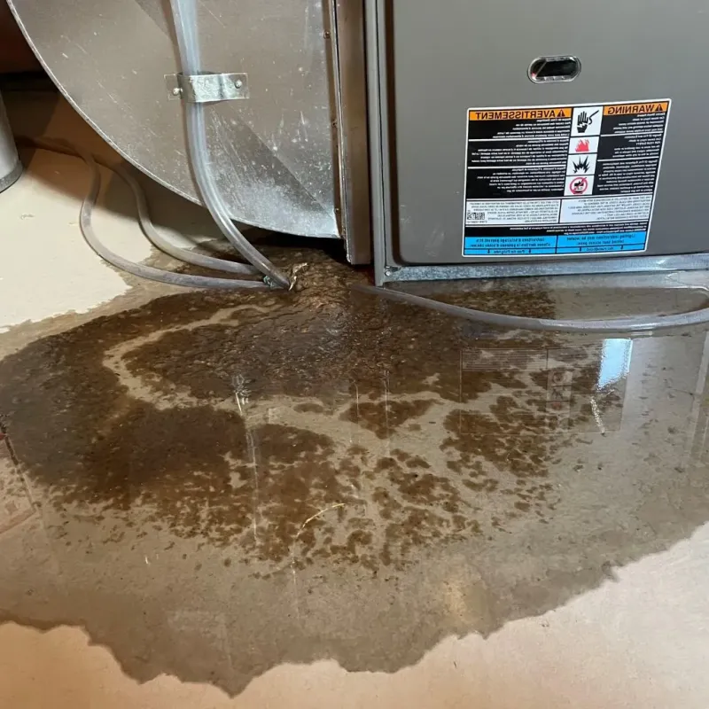 Pipe Burst and Leak Restoration in Mecklenburg County, NC