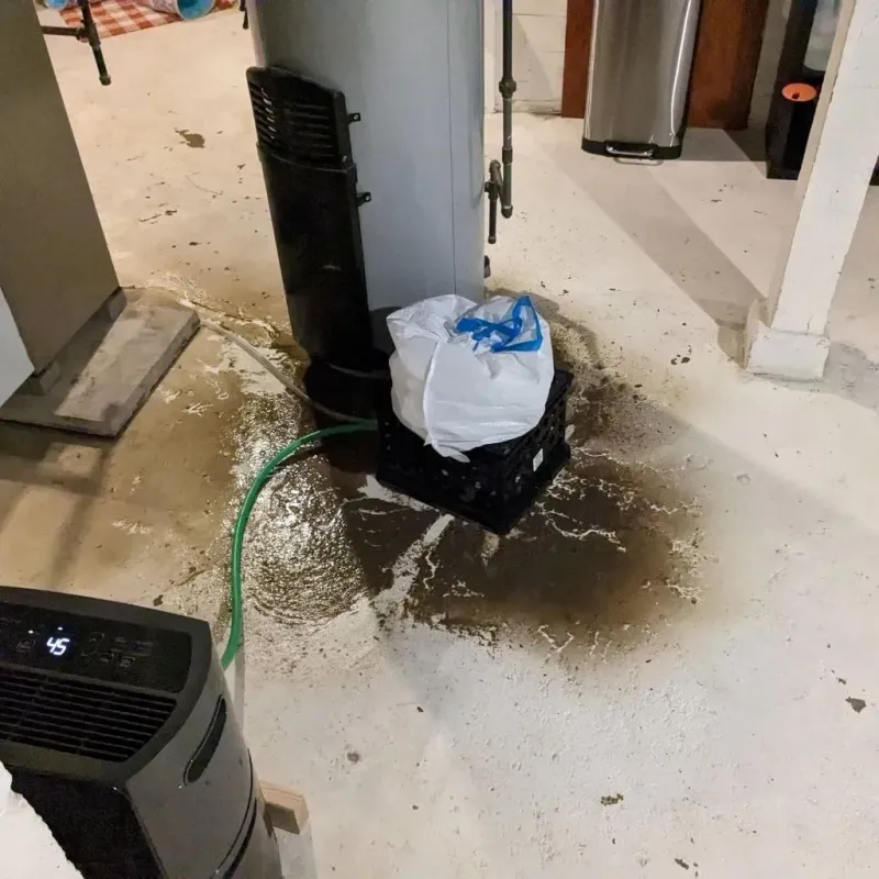 Sewage Backup Cleanup Service in Mecklenburg County, NC